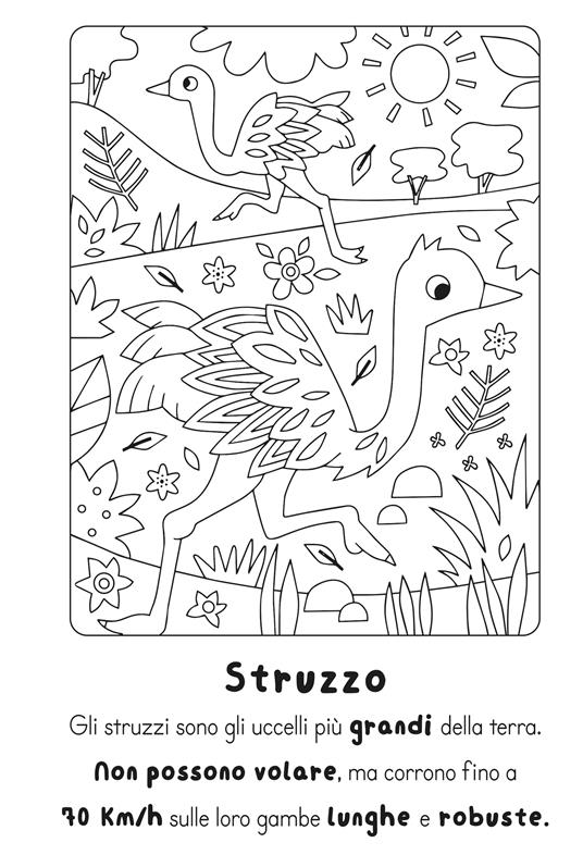 Traccia e colora animali. Ediz. illustrata - 4