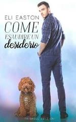 Come esaudire un desiderio