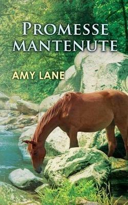 Promesse mantenute. Vol. 1 - Amy Lane - copertina