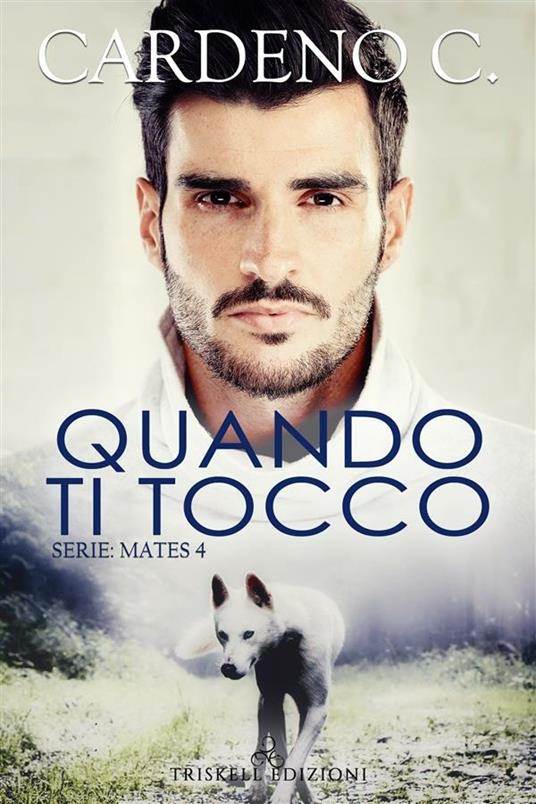 Quando ti tocco. Mates. Vol. 4 - C. Cardeno - ebook