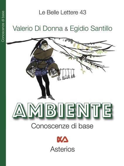 Ambiente. Conoscenze di base - Valerio Di Donna,Egidio Santillo - copertina