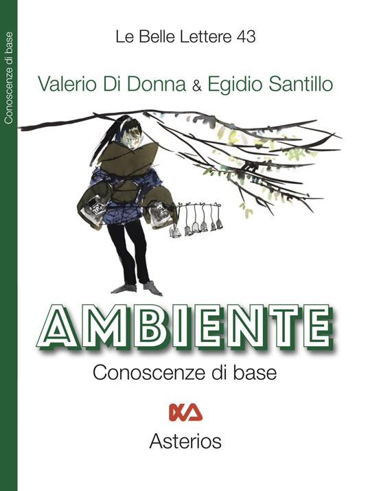 Ambiente. Conoscenze di base - Valerio Di Donna,Egidio Santillo - copertina