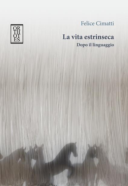 La vita estrinseca. Dopo il linguaggio - Felice Cimatti - ebook