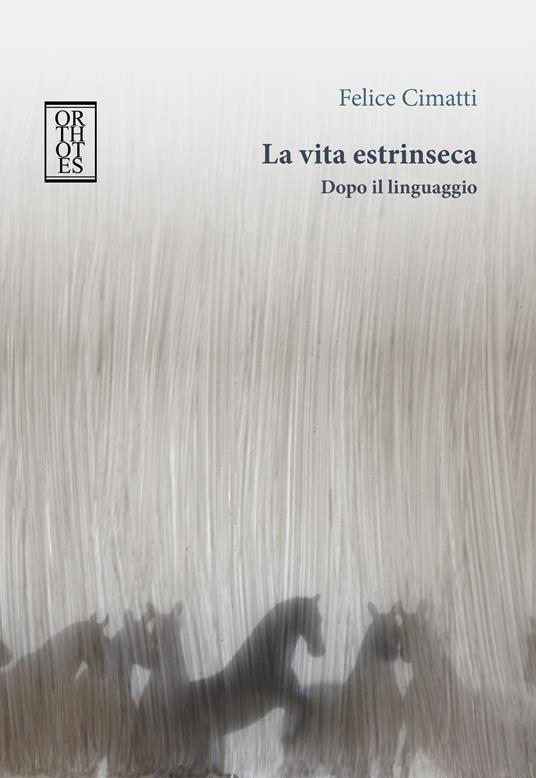 La vita estrinseca. Dopo il linguaggio - Felice Cimatti - ebook
