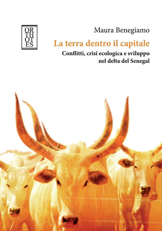 La terra dentro il capitale. Conflitti, crisi ecologica e sviluppo nel delta del Senegal - Maura Benegiamo - ebook