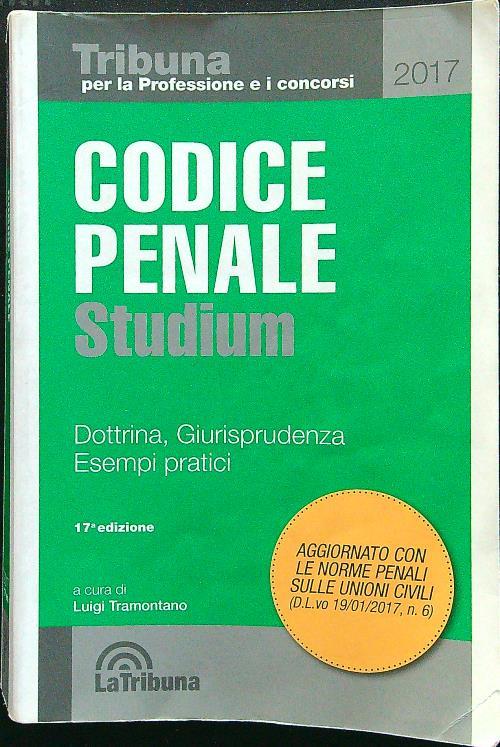 Codice penale Studium. Dottrina, giurisprudenza, esempi pratici