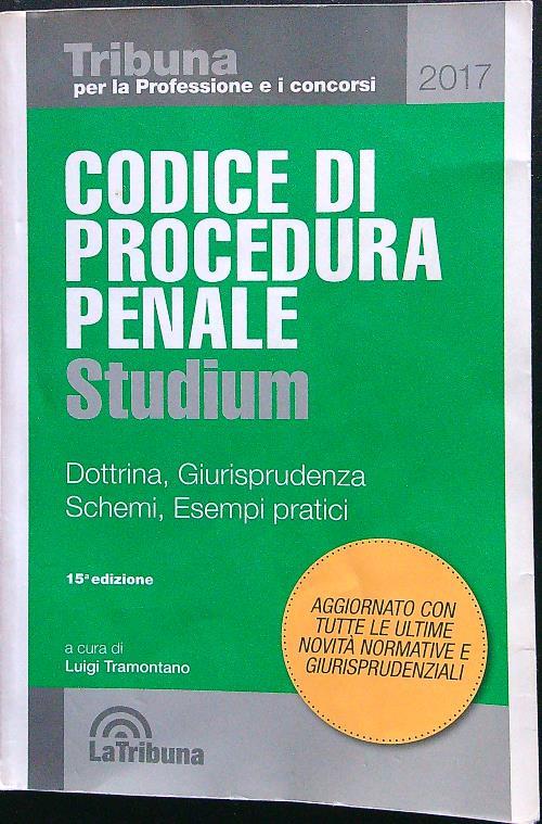 Codice di procedura penale Studium. Dottrina, giurisprudenza, schemi, esempi pratici