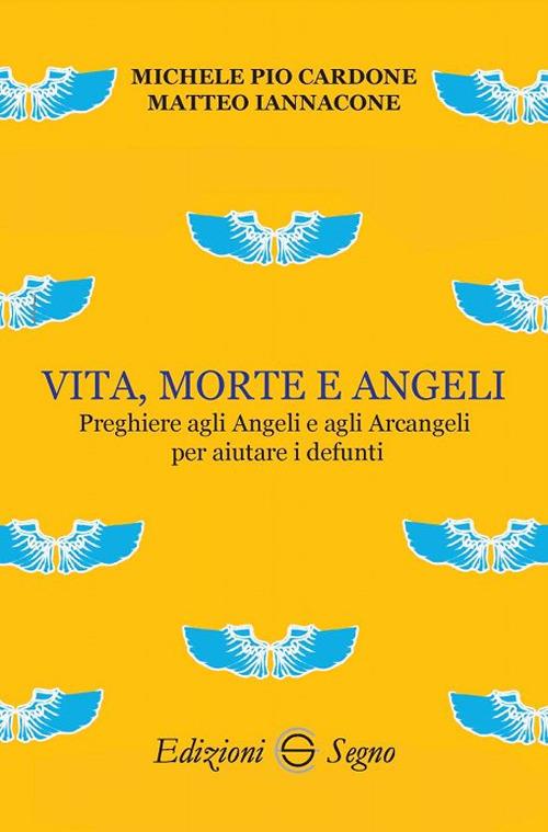 Vita, morte e angeli - Michele Pio Cardone,Matteo Iannacone - copertina