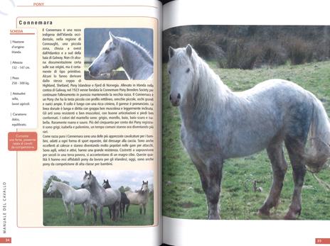 Il manuale del cavallo - 2