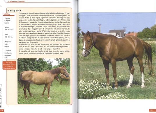 Il manuale del cavallo - 5