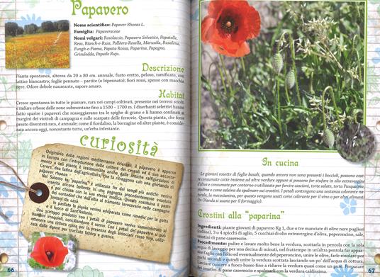 Erbe buone e facili. Un viaggio tra consigli, ricette e curiosità per conoscere e utilizzare le piante - Graziella De Nizza - 5