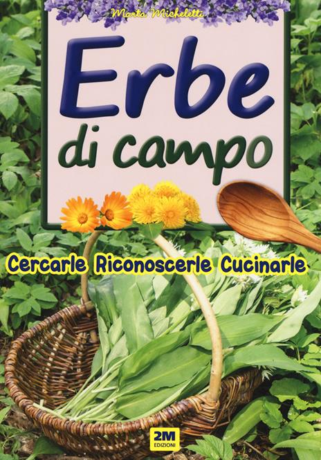 Erbe di campo. Cercarle, riconoscerle, cucinarle - copertina