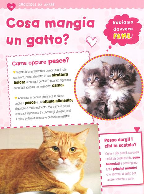 Il mio libro dei cuccioli. Gioca con i test - Laura Aceti,Chiara Brizzolara - 2