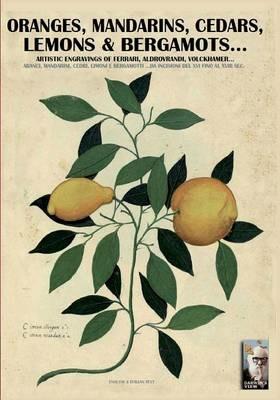 Oranges, mandarins, cedars, lemons & bergamots... Artistic engravings of Ferrari, Aldovrandi, Volckhamer... - Luca S. Cristini - copertina