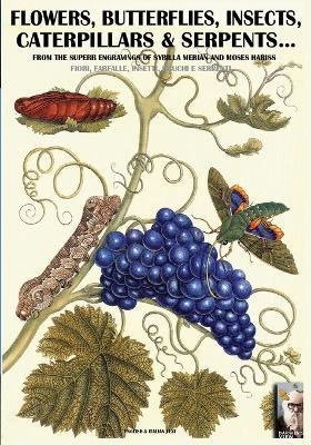 Flowers, butterflies, insects, caterpillars & serpents... From the superb engravings of Sybilla Merian and Moses Hariss - Luca S. Cristini - copertina