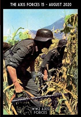 The Axis forces (2020). Nuova ediz.. Vol. 15 - Massimiliano Afiero - copertina