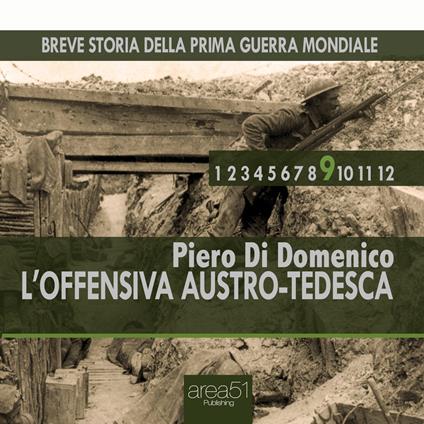 Breve storia della Prima Guerra Mondiale vol. 9 - L’offensiva austro-tedesca