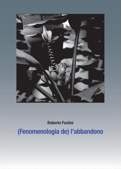 (Fenomenologia de) l'abbandono. Sette piani di separazione - Roberto Fustini - copertina