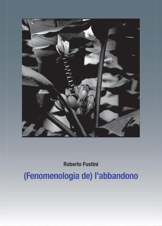 (Fenomenologia de) l'abbandono. Sette piani di separazione - Roberto Fustini - copertina