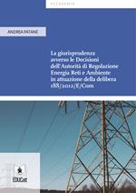 La giurisprudenza avverso le decisioni dell'Autorità di Regolazione Energia Reti e Ambiente in attuazione della delibera 188/2012/E/Com