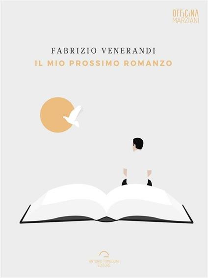 Il mio prossimo romanzo - Fabrizio Venerandi - ebook