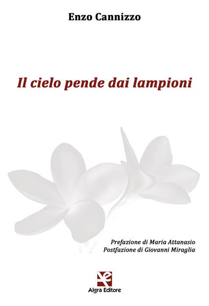 Il cielo pende dai lampioni - Enzo Cannizzo - copertina