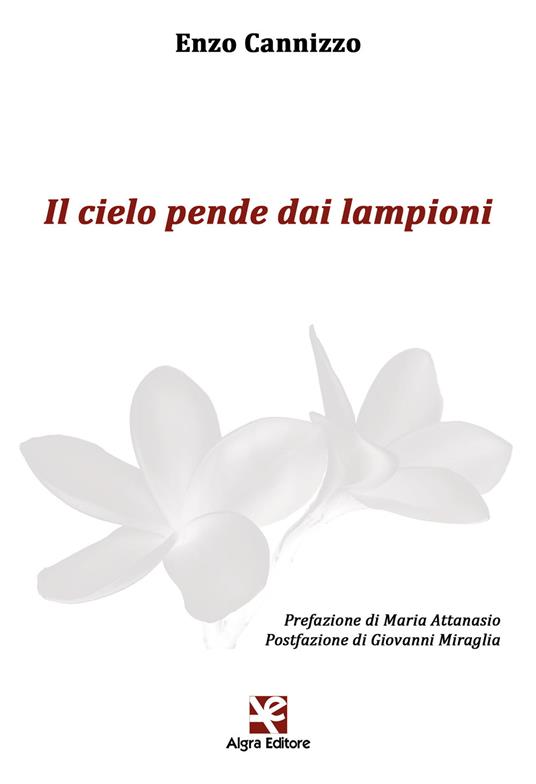 Il cielo pende dai lampioni - Enzo Cannizzo - copertina