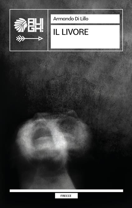 Il livore - Armando Di Lillo - copertina