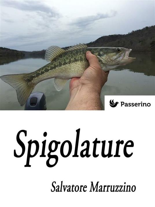 Spigolature - Salvatore Marruzzino - ebook