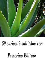 59 curiosità sull'aloe vera