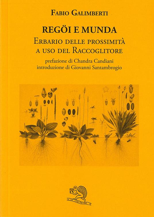 Regöi e munda. Erbario delle prossimità a uso del raccoglitore - Fabio Galimberti - copertina