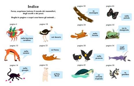 Cosa fanno gli animali tutto il giorno? Ediz. a colori - Wendy Hunt - 2