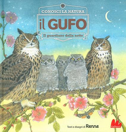 Il gufo. Il guardiano della notte. Conosci la natura - Renne - copertina