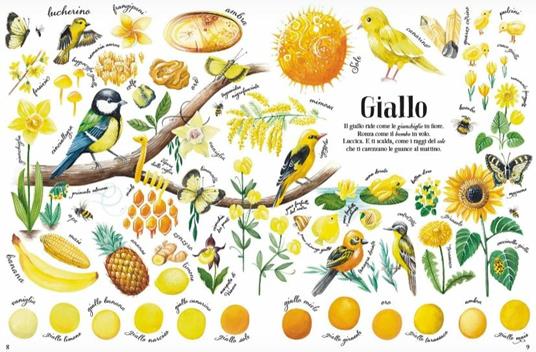 Colori della natura. Ediz. a colori - Jana Sedlácková,Stepánka Sekaninova - 4