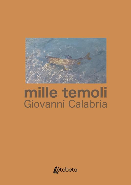 Mille temoli. Nuova ediz. - Giovanni Calabria - copertina