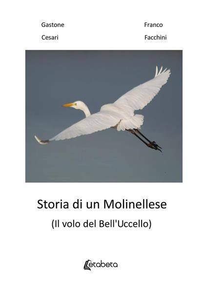 Storia di un molinellese (Il volo del Bell'Uccello) - Franco Facchini,Gastone Cesari - copertina