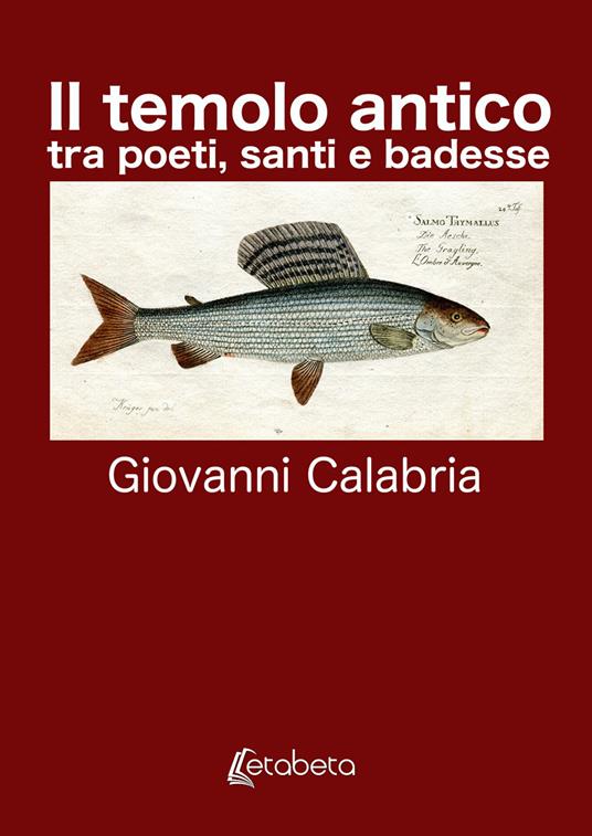 Il Temolo Antico. tra poeti, santi e badesse. Nuova ediz. - Giovanni Calabria - copertina