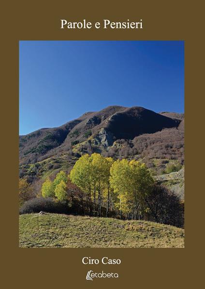 Parole e Pensieri. Nuova ediz. - Ciro Caso - copertina