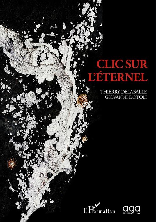 Clic sur l'éternel - Giovanni Dotoli,Thierry Delaballe - copertina