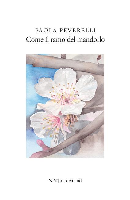 Come il ramo del mandorlo - Paola Peverelli - copertina