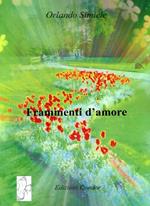 Frammenti d'amore