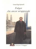 Fulgor che ancor m'apprende