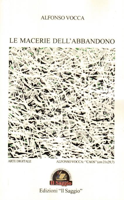 Le macerie dell'abbandono - Alfonso Vocca - copertina