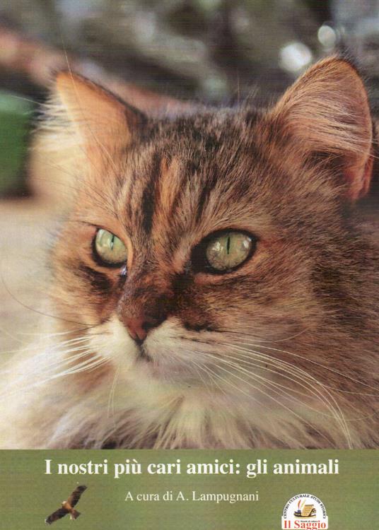 I nostri più cari amici: gli animali - copertina