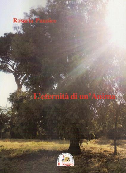 L'eternità di un'anima - Rosaria Pannico - copertina