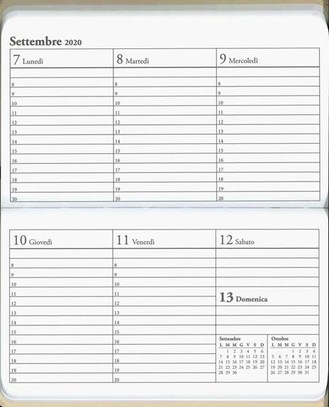 Il Piccolo Principe. Agenda orizzontale 2020 - 3