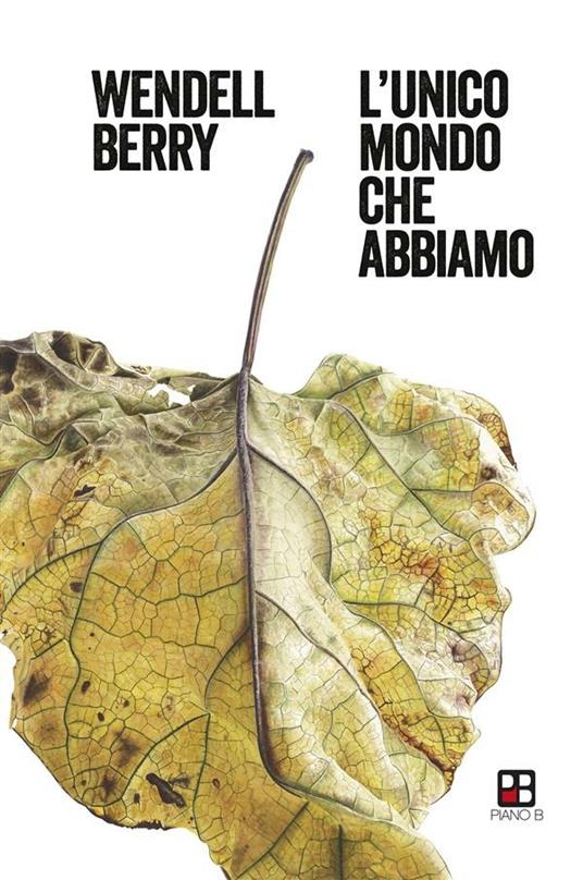 L' unico mondo che abbiamo - Wendell Berry,Antonio Tozzi - ebook