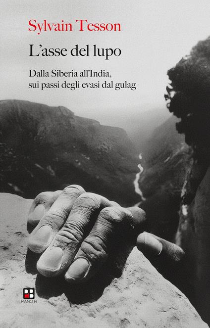 L'asse del lupo. Dalla Siberia all'India sui passi degli evasi dal gulag - Sylvain Tesson - copertina