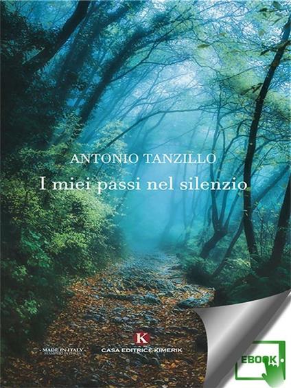 I miei passi nel silenzio - Antonio Tanzillo - ebook