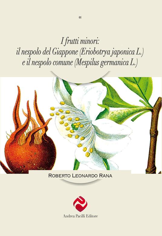 I frutti minori: il nespolo del Giappone (Eriobotrya japonica L.) e il nespolo comune (Mespilus germanica L.) - Roberto Leonardo Rana - copertina